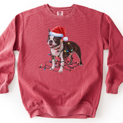 Boston Terrier Christmas Lights Sweatshirt