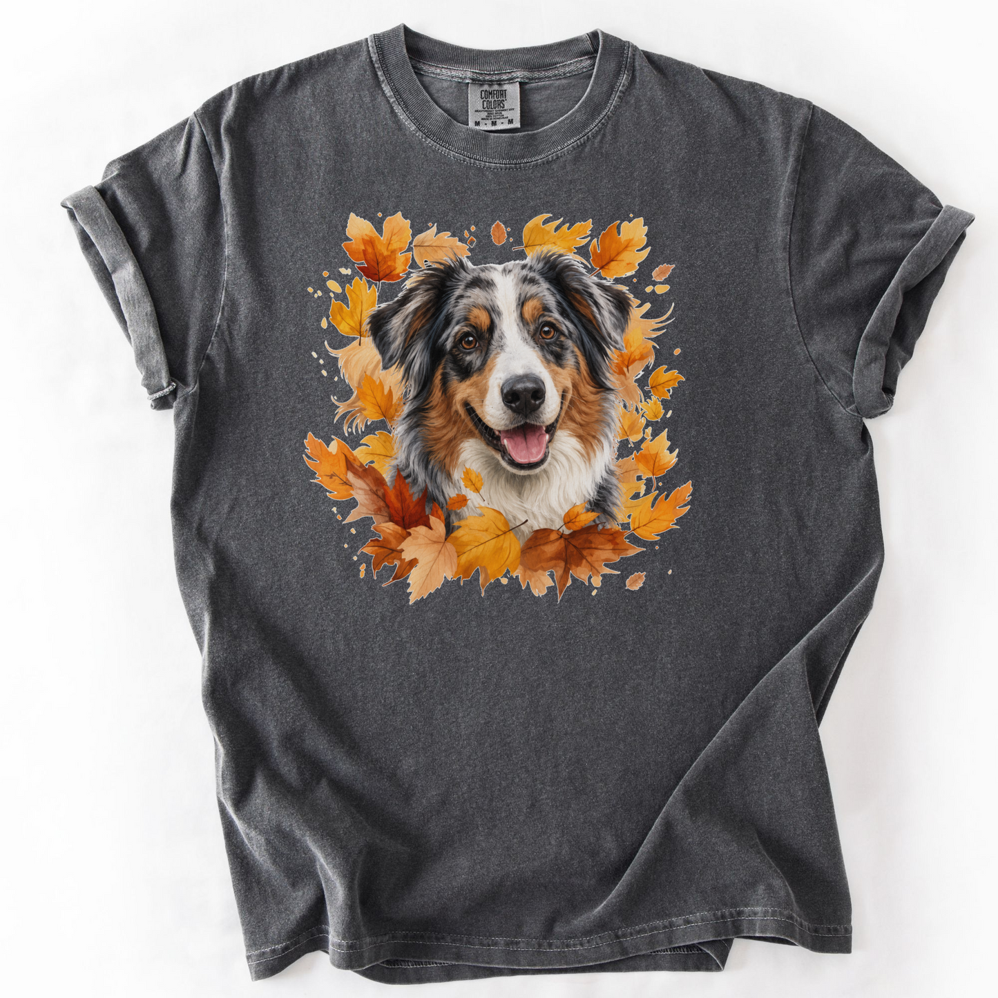 Australian Shepherd Autumn Sweatshirt, Cozy Fall Dog Sweater, Dog Lover Apparel, Cute Autumn Dog Tee, Gift for Dog Lovers