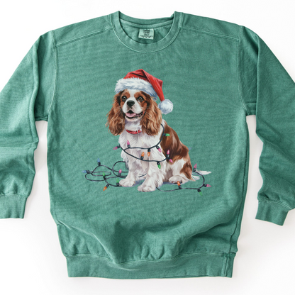 Blenheim Cavalier King Charles Spaniel Christmas Lights Sweatshirt