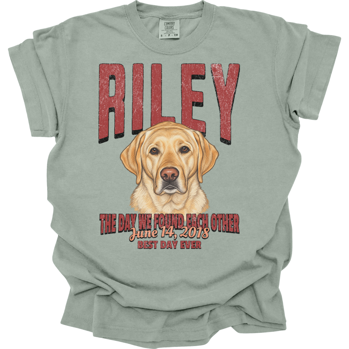 Personalized Gotcha Day Shirt, Custom Pet Portrait Tee, Dog Adoption Anniversary Gift
