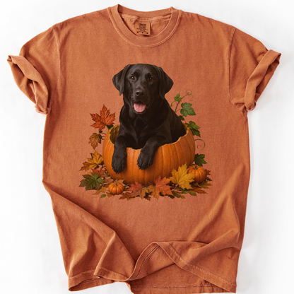 Black Lab Pumpkin Shirt Fall Dog Lover Autumn Labrador Comfort Colors Graphic Tee Gift Apparel