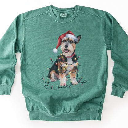 Christmas Norfolk Terrier Sweatshirt, Dog Tangled in Lights, Festive Dog Lover Apparel