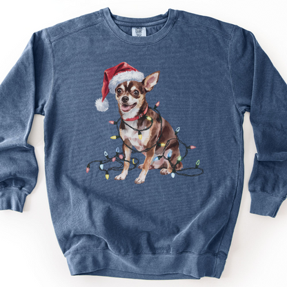 Black Chihuahua Christmas Lights Sweatshirt