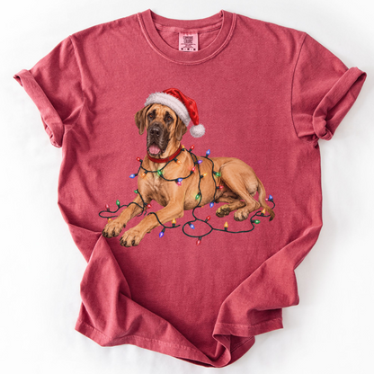 Fawn Great Dane Christmas Lights Shirt