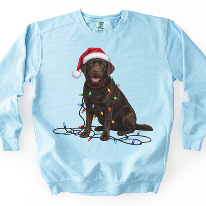 Chocolate Lab Christmas Lights Sweatshirt