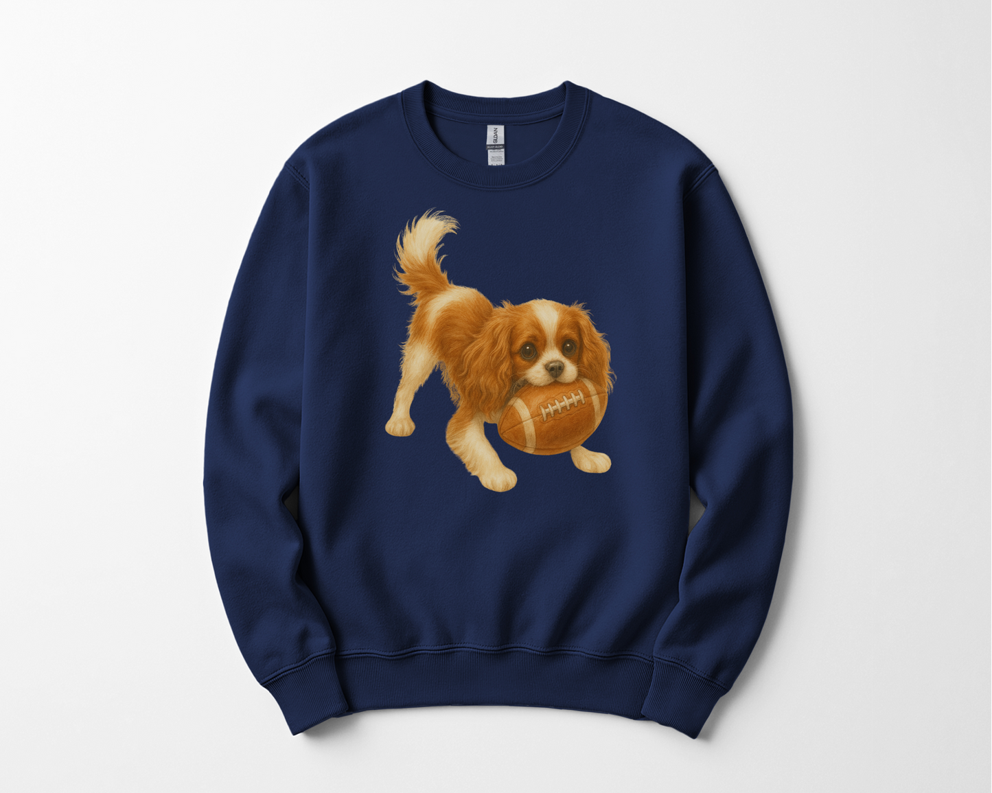 Blenheim Cavalier Football Sweatshirt