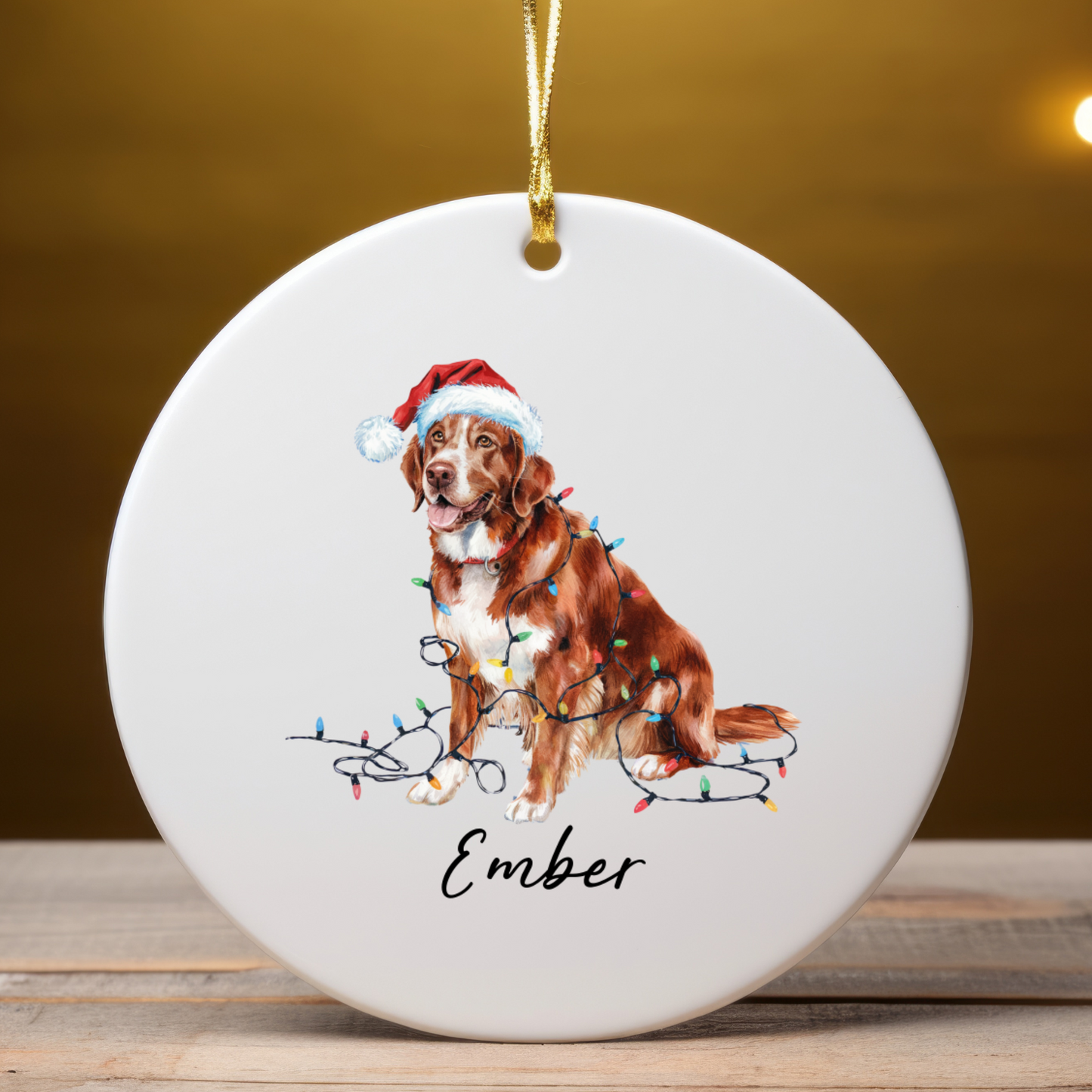 Nova Scotia Duck Tolling Retriever Ornament, Custom Dog Keepsake