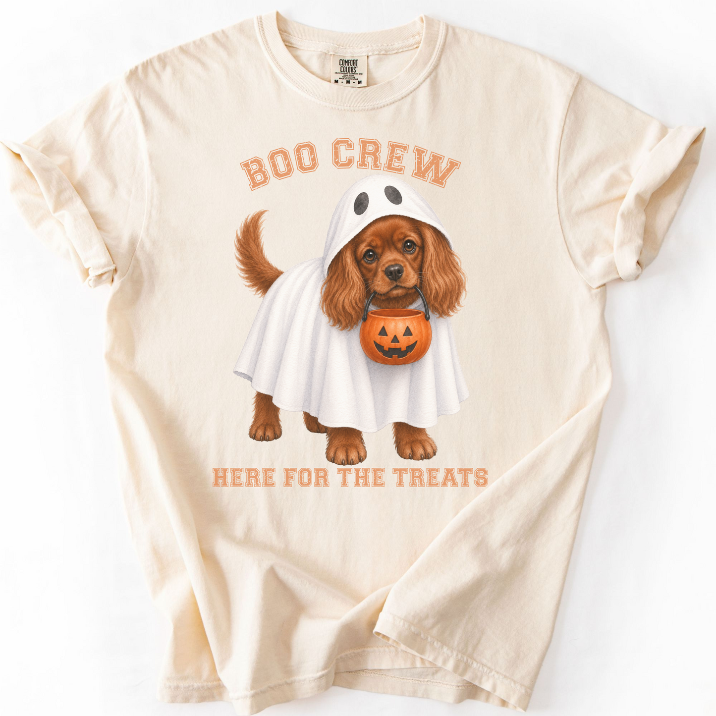 Ruby Cavalier Boo Crew Halloween Shirt, Here for the Treats Dog Mom Tee