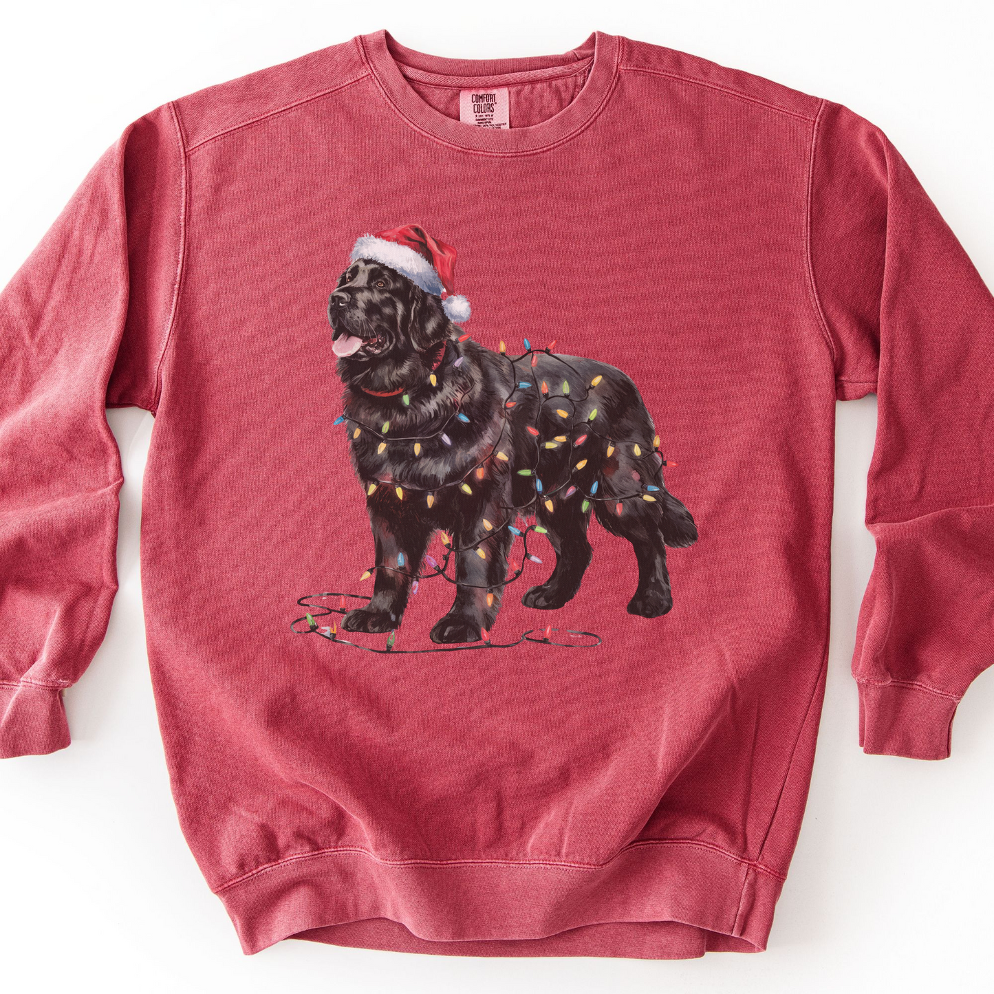 Newfoundland Dog Christmas Lights Sweatshirt, Festive Black Newf Sweater