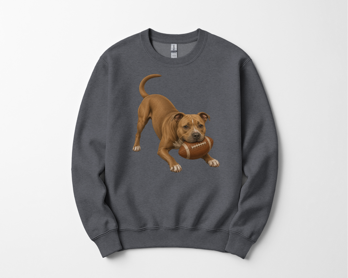 Pitbull Football Sweatshirt