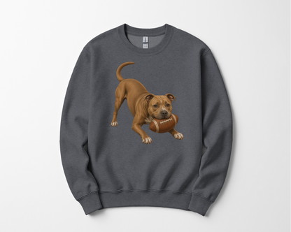 Pitbull Football Sweatshirt