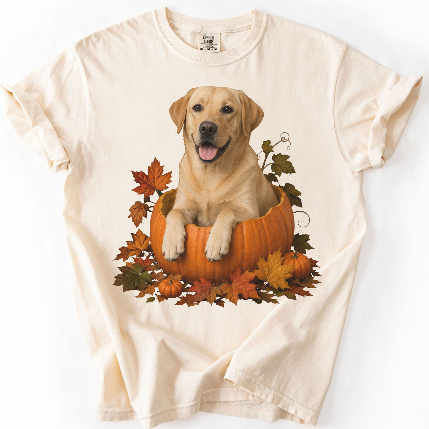Yellow Lab Pumpkin Shirt Fall Dog Lover Autumn Labrador Comfort Colors Graphic Tee Gift Apparel