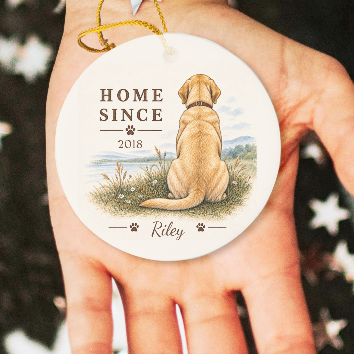 Personalized Dog Ornament, Double Sided Gotcha Day Gift, Custom Pet Adoption Keepsake