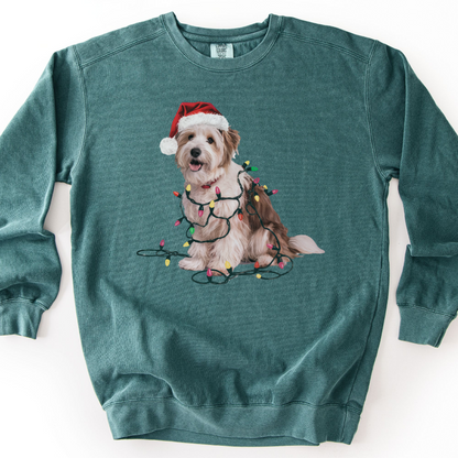 Coton De Tulear Christmas Lights Dog Sweatshirt