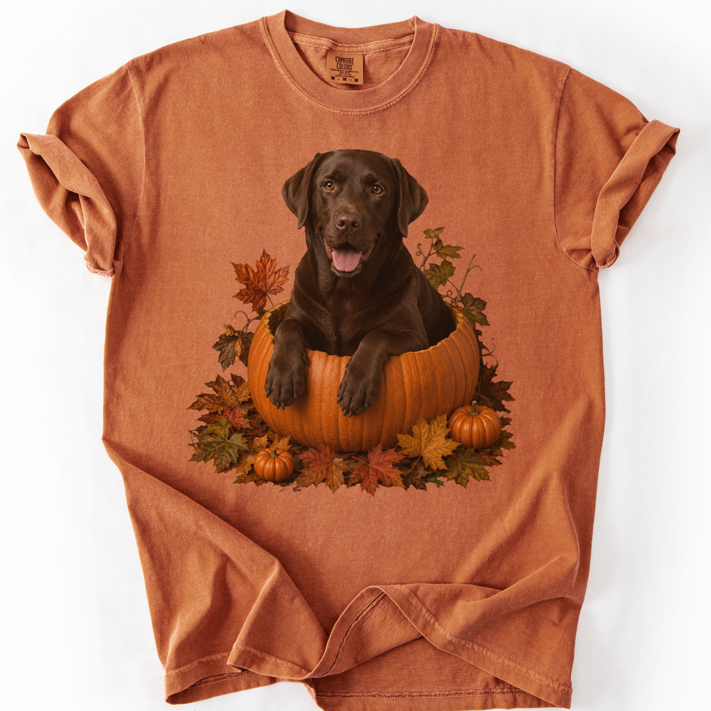Chocolate Lab Pumpkin Shirt Fall Dog Lover Autumn Labrador Comfort Colors Graphic Tee Gift
