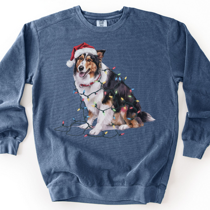Collie Christmas Lights Sweatshirt