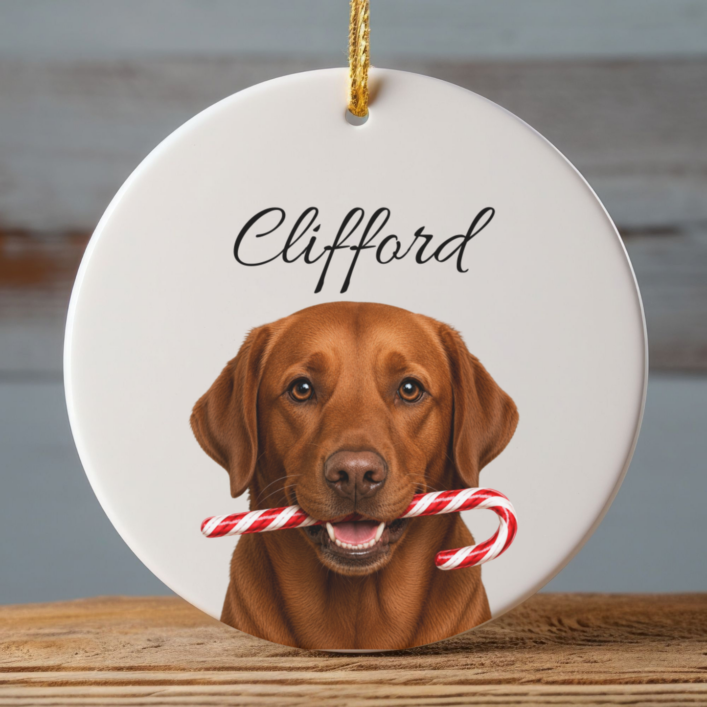 Personalized Fox Red Lab Candy Cane Ornament