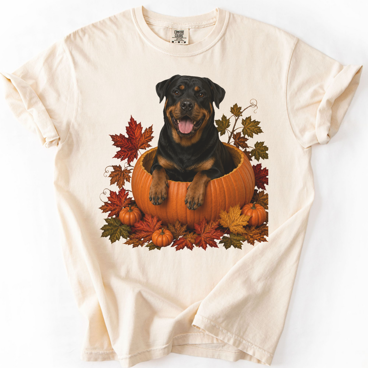 Rottweiler Pumpkin Fall T-Shirt, Cute Autumn Dog Lover Tee & Thanksgiving Gift