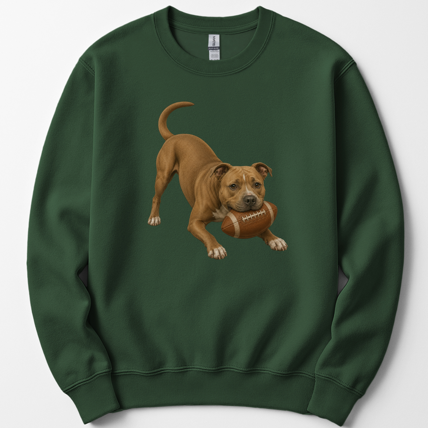 Pitbull Football Sweatshirt Dog Lover Game Day Crewneck Pittie Mom Gift Shirt