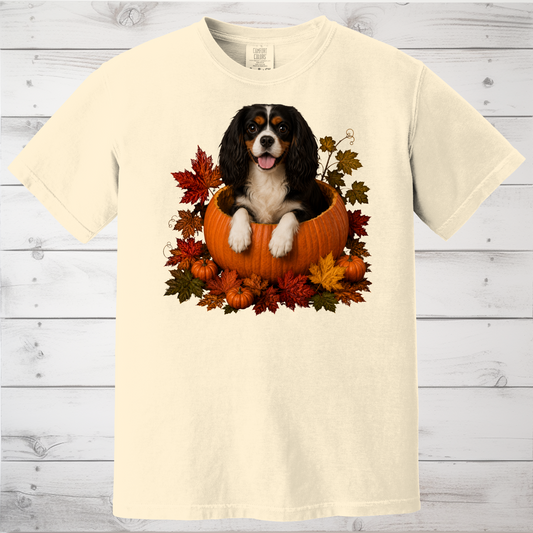Tricolor Cavalier Pumpkin Shirt