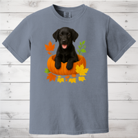 Load image into Gallery viewer, Black Lab in Pumpkin Fall Dog Lover Shirt
