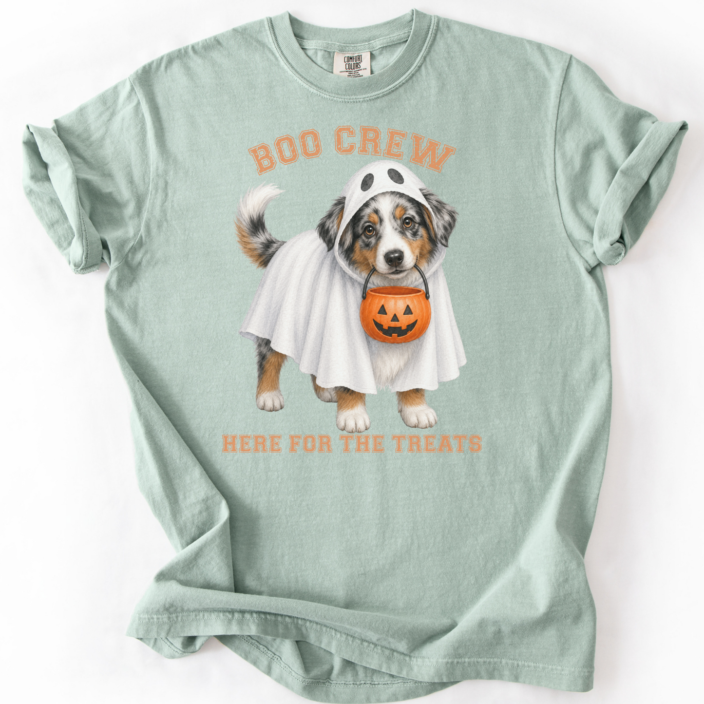 Australian Shepherd Boo Crew Halloween Shirt, Here for the Treats Dog Mom Tee