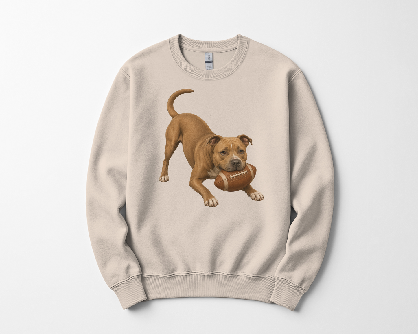Pitbull Football Sweatshirt