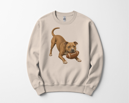 Pitbull Football Sweatshirt