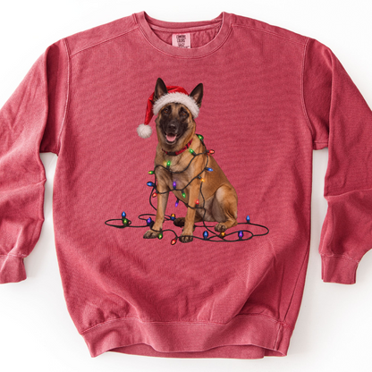 Belgian Malinois Christmas Lights Sweatshirt