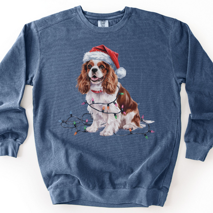 Blenheim Cavalier King Charles Spaniel Christmas Lights Sweatshirt