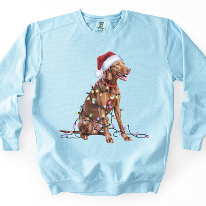Christmas Vizsla Sweatshirt, Lights Dog Sweater, Vizsla Mom Apparel, Dog Lover Gift