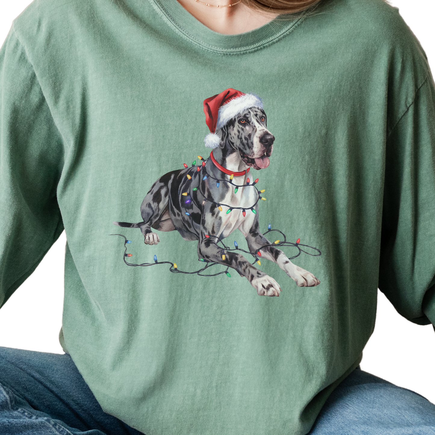 Great Dane Christmas Lights Long Sleeve Shirt, Dog Lover Holiday Top