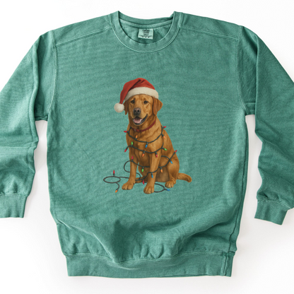 Fox Red Labrador Christmas Lights Sweatshirt