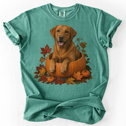 Fox Red Lab Pumpkin Shirt Fall Dog Lover Autumn Labrador Comfort Colors Tee Gift Apparel