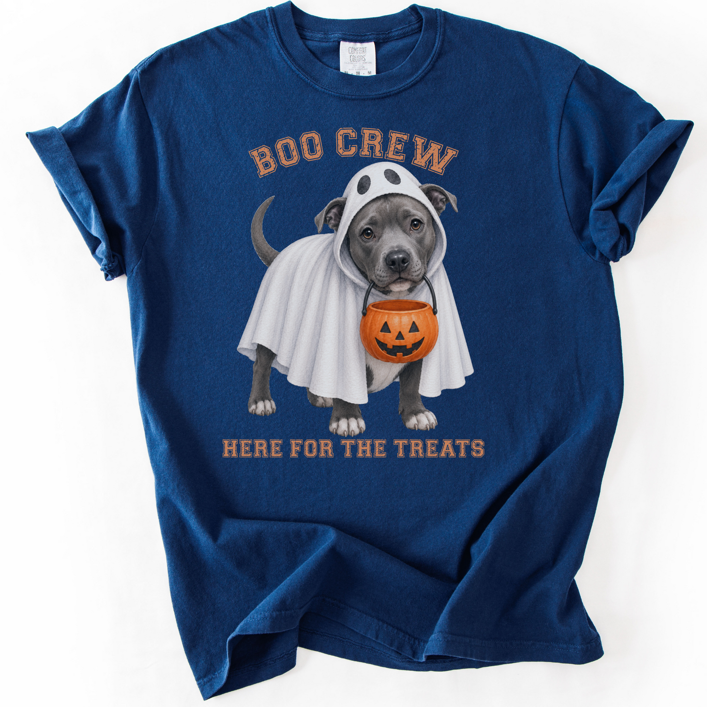 Pitbull Boo Crew Halloween Shirt, Here for the Treats Dog Mom Tee
