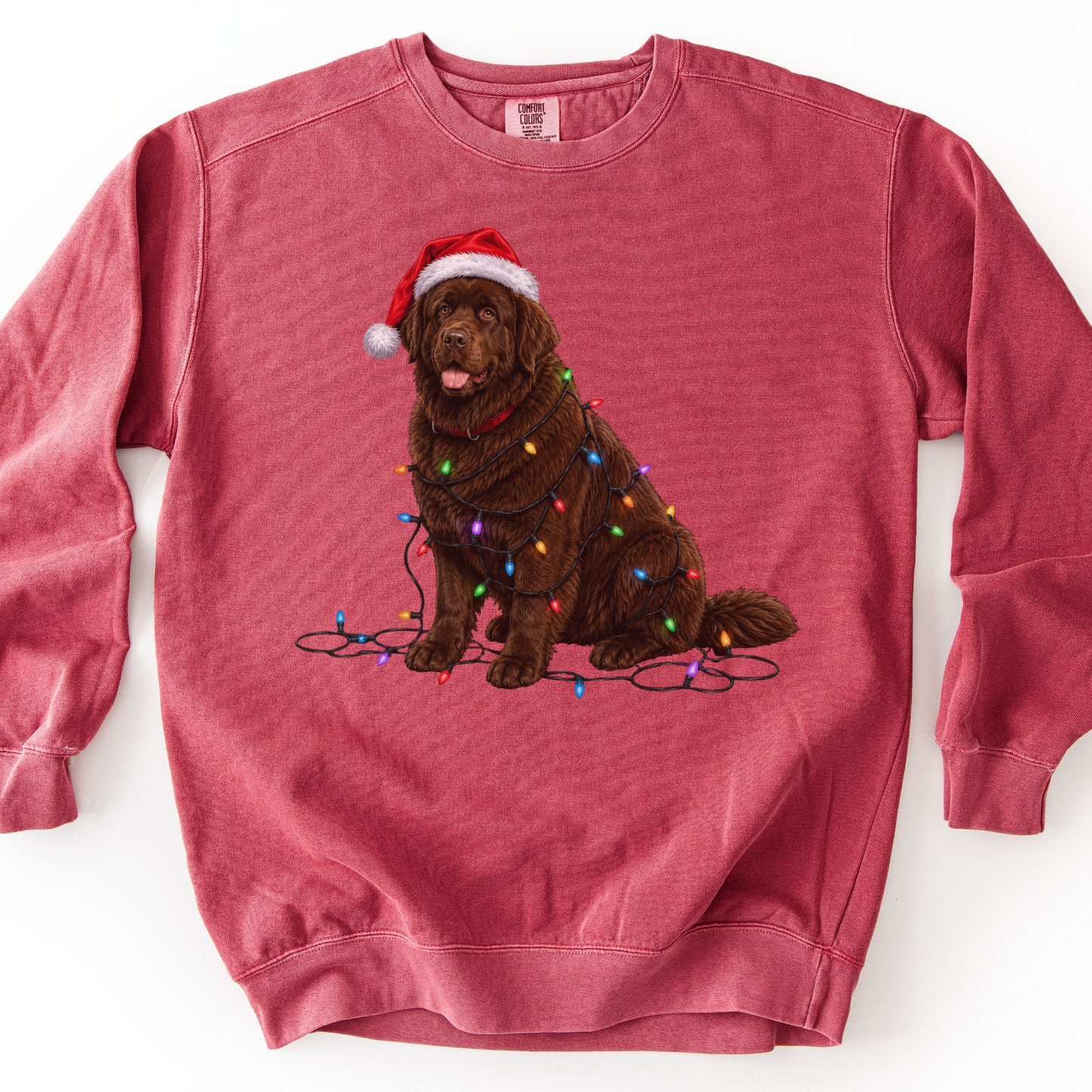 Chocolate Newfoundland Christmas Lights Dog Sweatshirt, Festive Newfie Mom Gift