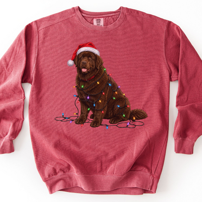 Chocolate Newfoundland Christmas Lights Dog Sweatshirt, Festive Newfie Mom Gift