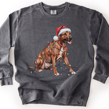Rhodesian Ridgeback Christmas Lights Dog Sweatshirt, Festive Holiday Pet Lover Gift