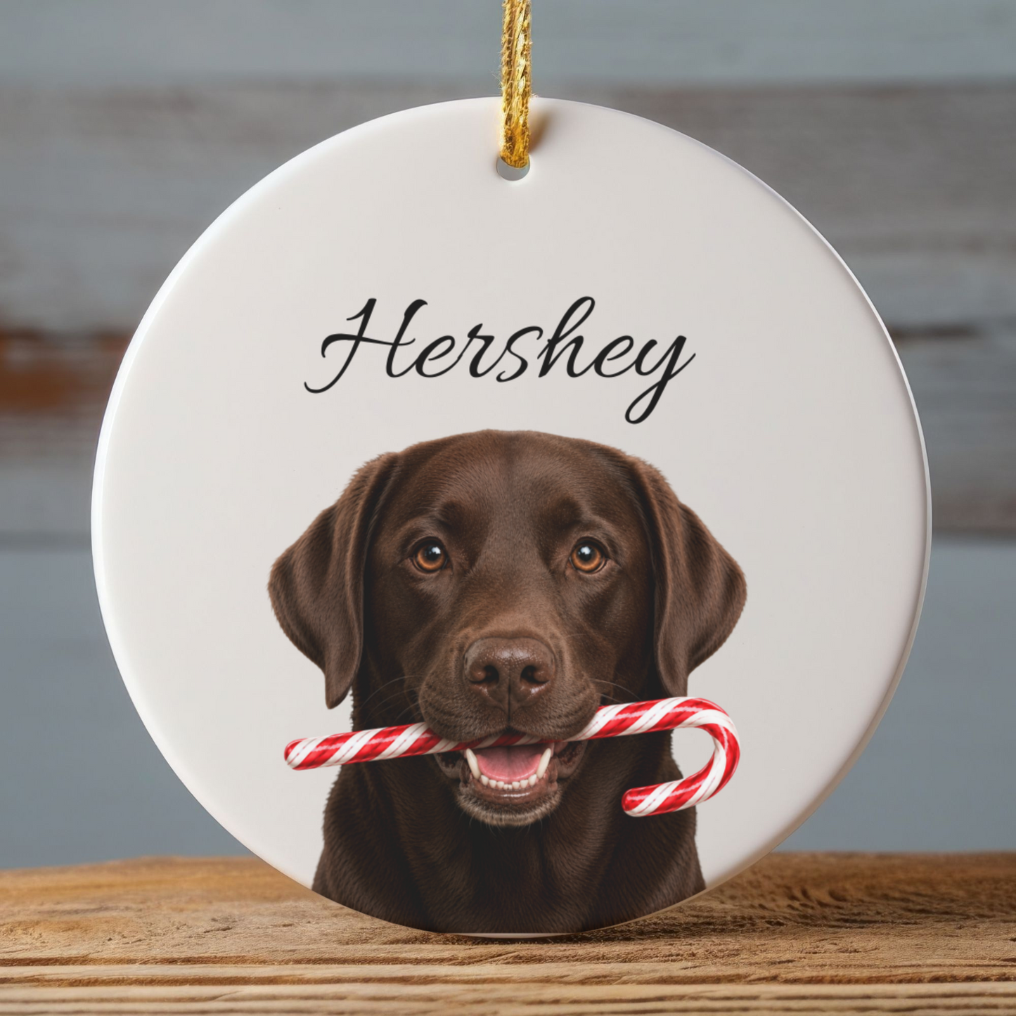 Personalized Chocolate Lab Candy Cane Ornament