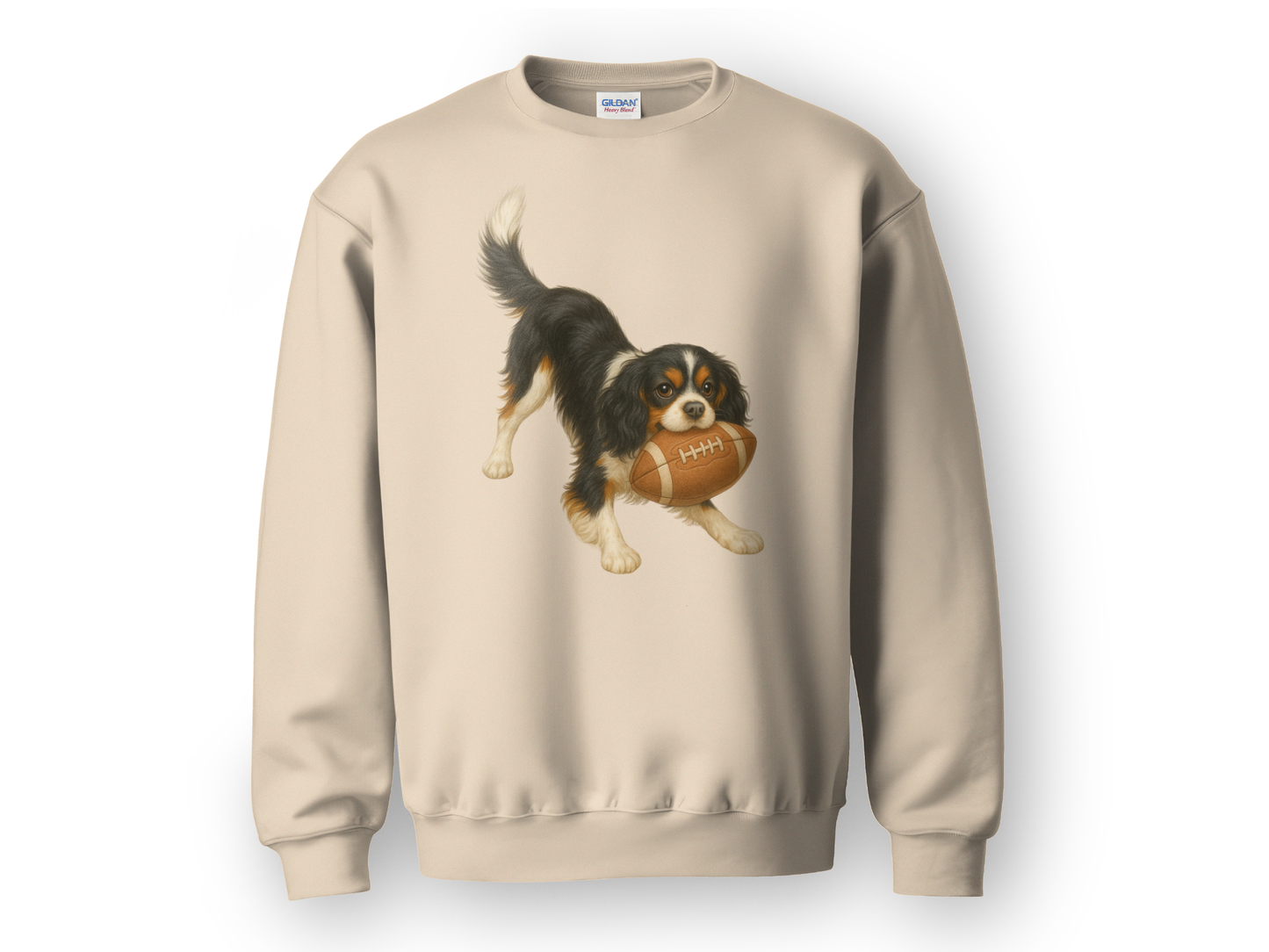Tri-Color Cavalier King Charles Spaniel Football Sweatshirt