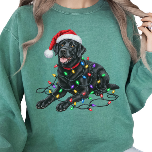 Black Lab Christmas Lights Sweatshirt