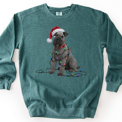 Kerry Blue Terrier Christmas Lights Sweatshirt
