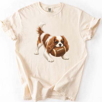 Blenheim Cavalier Football Shirt