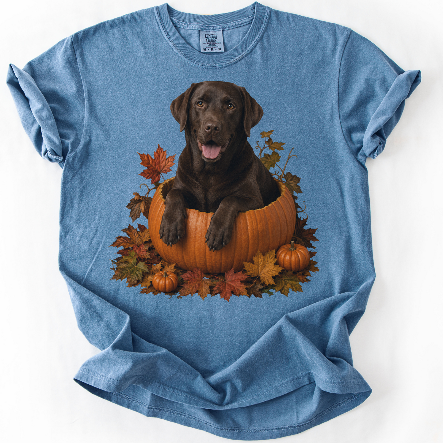 Chocolate Lab Pumpkin Shirt Fall Dog Lover Autumn Labrador Comfort Colors Graphic Tee Gift