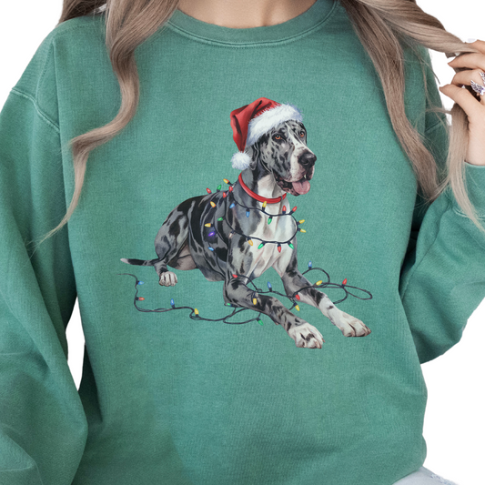 Great Dane Christmas Lights Sweatshirt