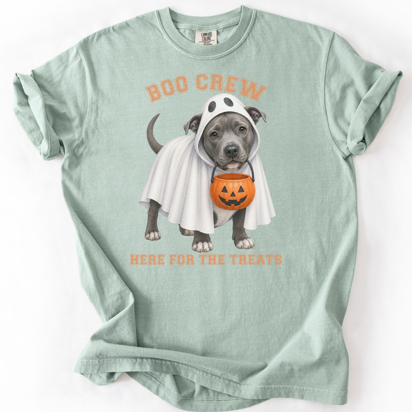Pitbull Boo Crew Halloween Shirt, Here for the Treats Dog Mom Tee