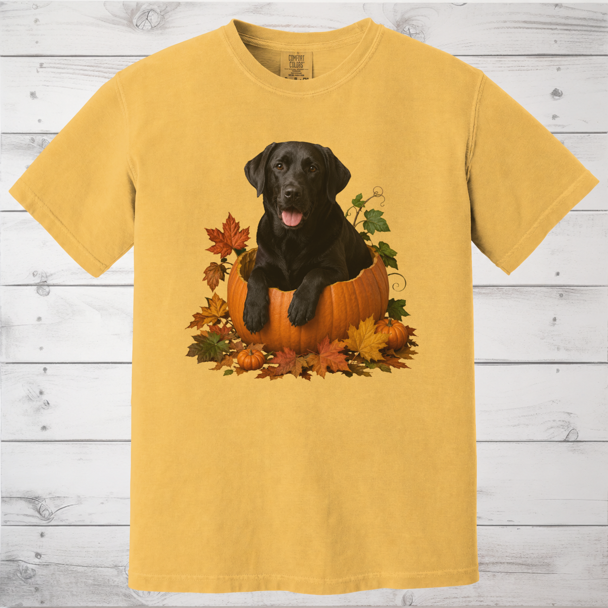 Black Lab Pumpkin Shirt