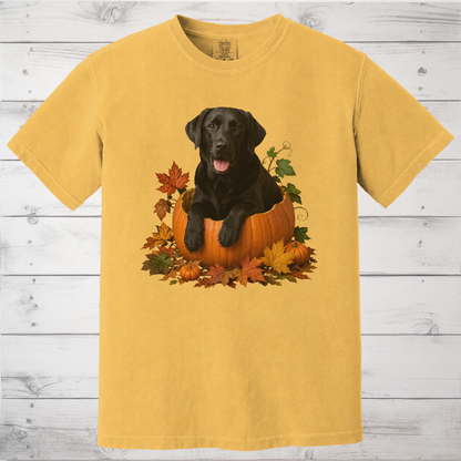 Black Lab Pumpkin Shirt