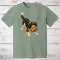 Load image into Gallery viewer, Cavalier King Charles Spaniel Football Sweatshirt – Blenheim, Ruby or Tri-Color Dog Lover Gift
