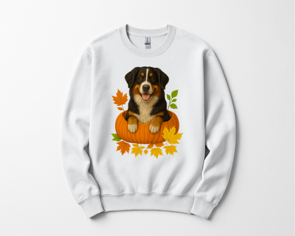 Bernese Mountain Dog Pumpkin Shirt